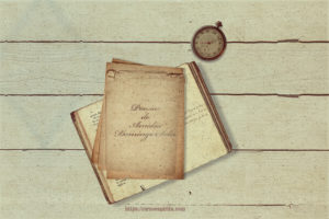 Vista Diario Amalia Domingo Soler